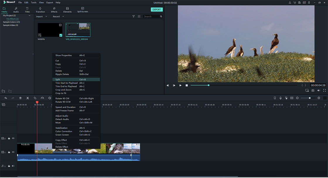 Download fillmore video editor windows 10